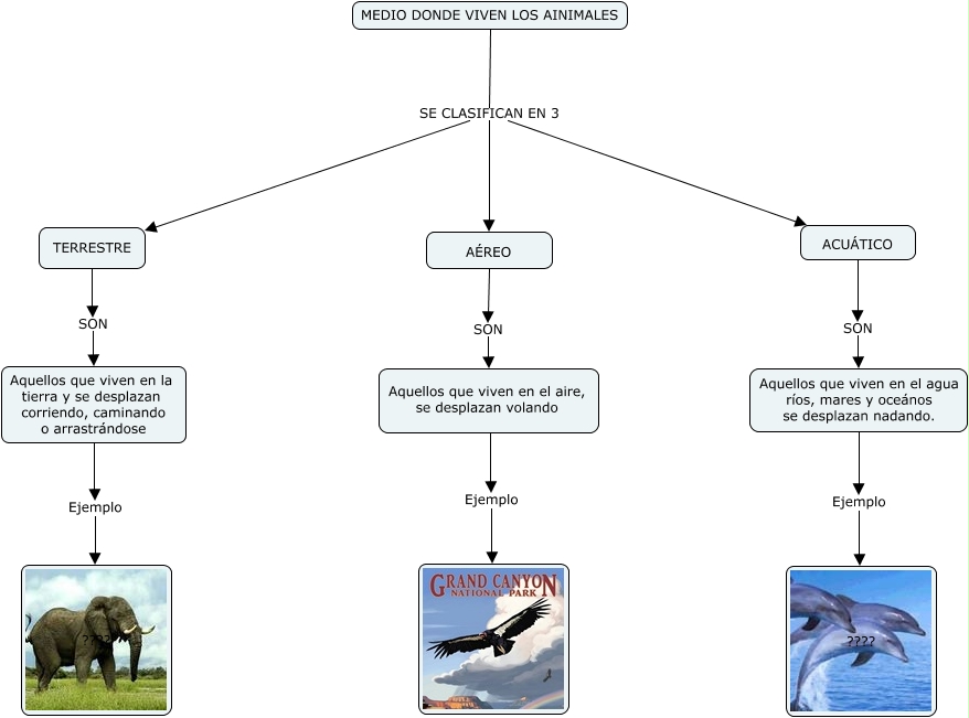 Mapa Conceptual Habitat Animales